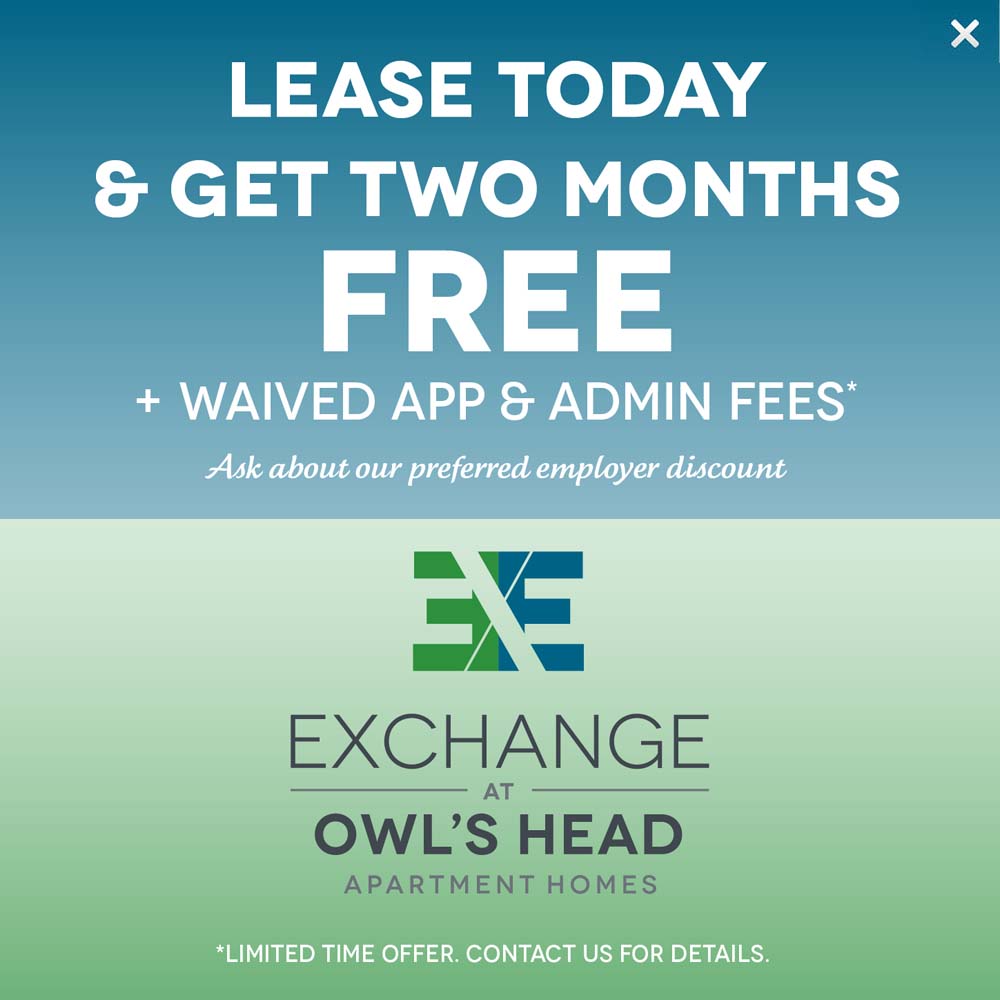Promo Modal Window